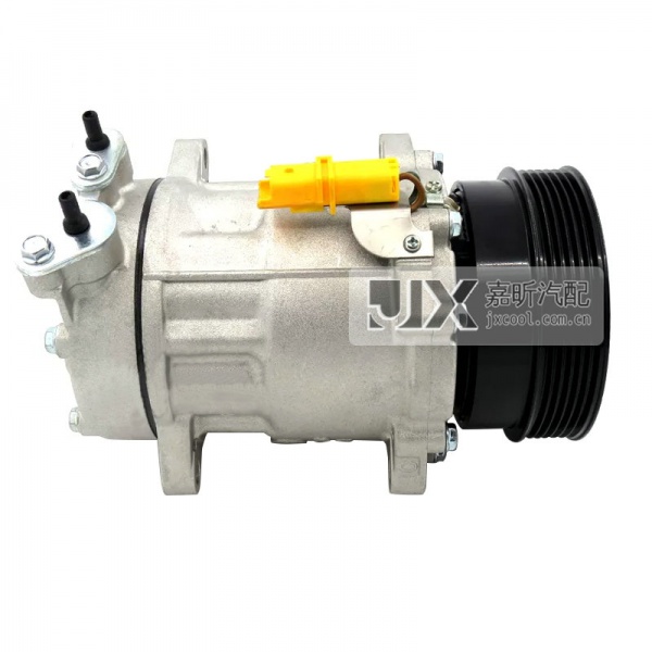 【JX10109】SANDEN SD7V16  110MM /PV6 /12V  for peugeot 406 607 807  / CITROEN C5   OEM：6453NJ 6453NH 9642800780 TSP0155418 92020153 PEK306 8646015 8FK351127311